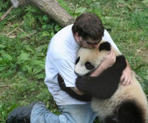 Фото. Даже панды нуждаются в объятиях