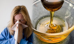 Фото. Мёд может усугубить проявления сезонного поллиноза